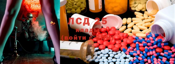 тгк Надым